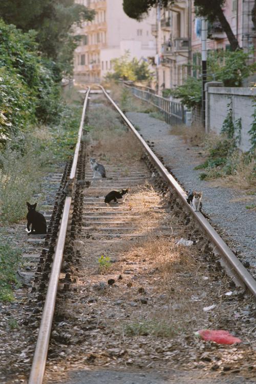 Film1 08