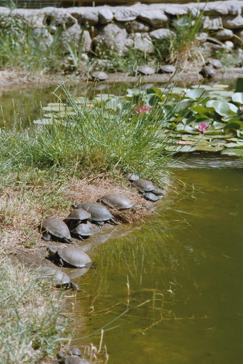 Film2 14