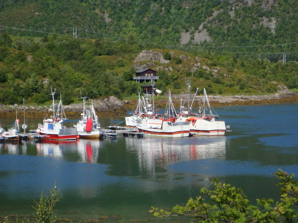 DSC03288