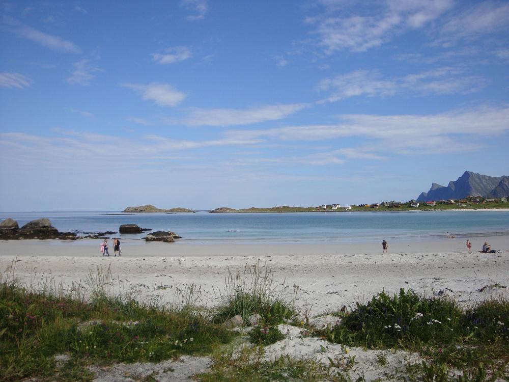 DSC03391