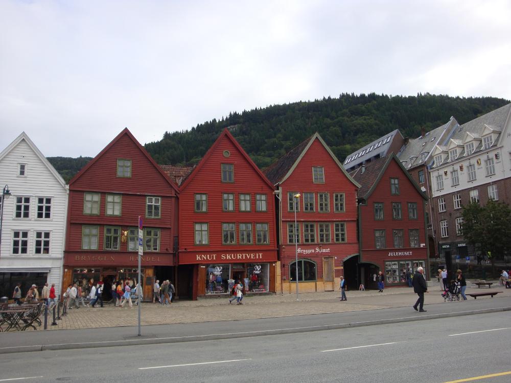 DSC03954