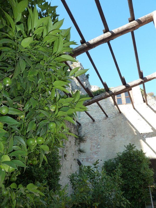 P1070787