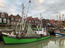 82: IMG_0718