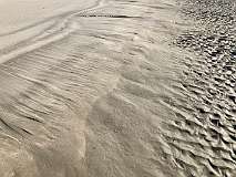 119: IMG_0788