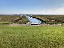 123: IMG_0795